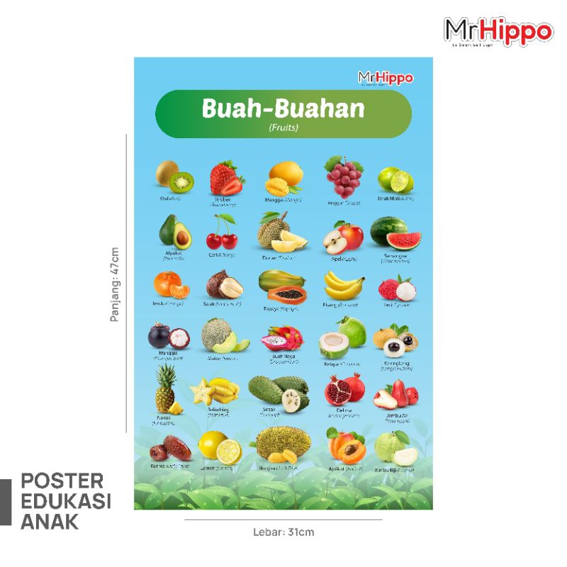 mrhippo poster edukasi belajar mengenal buah poster buah-buahan poster pembelajaran anak