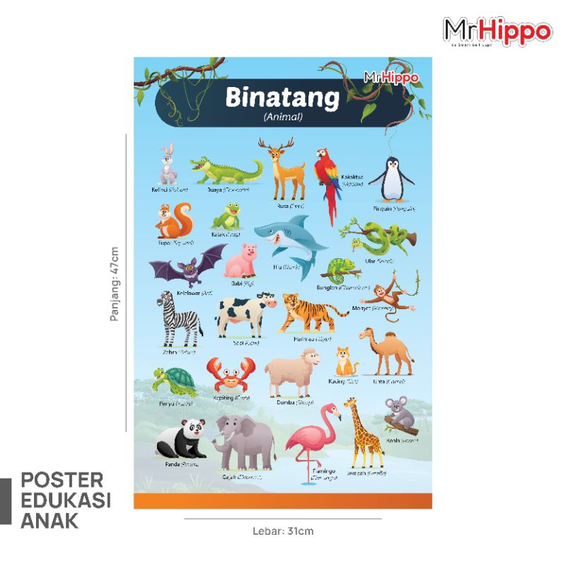 mrhippo poster edukasi belajar mengenal binatang poster binatang poster pembelajaran anak