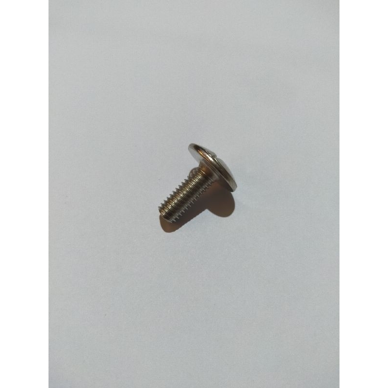 BAUT BODI M6 DRAT 10 MODEL PAYUNG 6X16