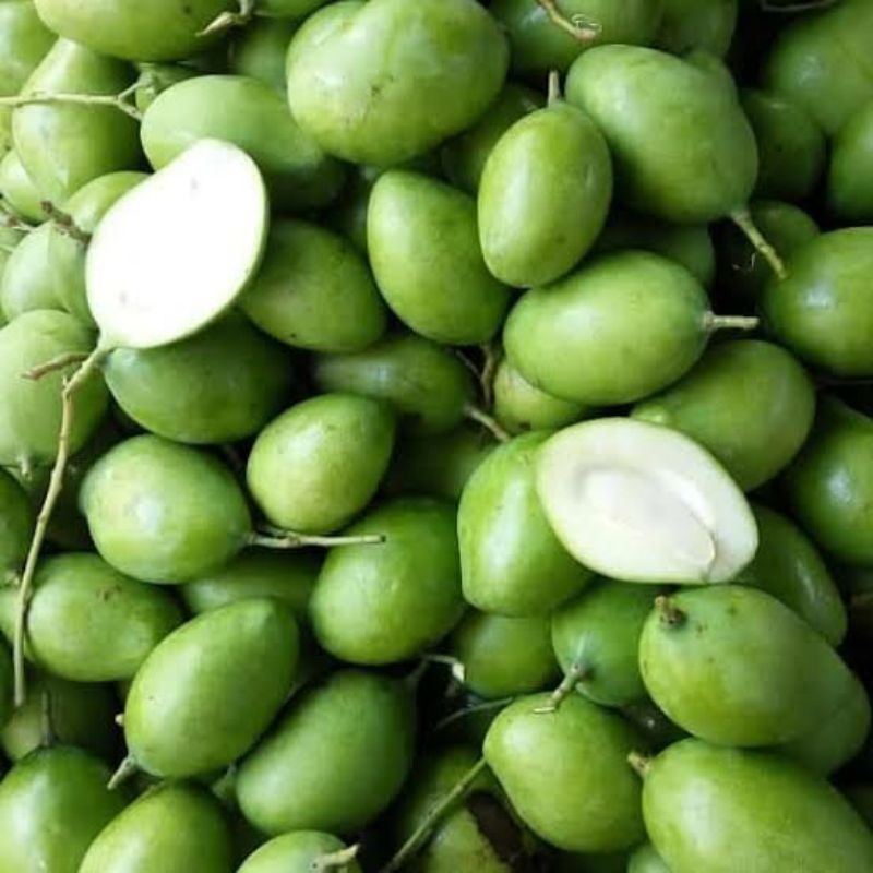 

mangga muda fresh petik langsung 1kg