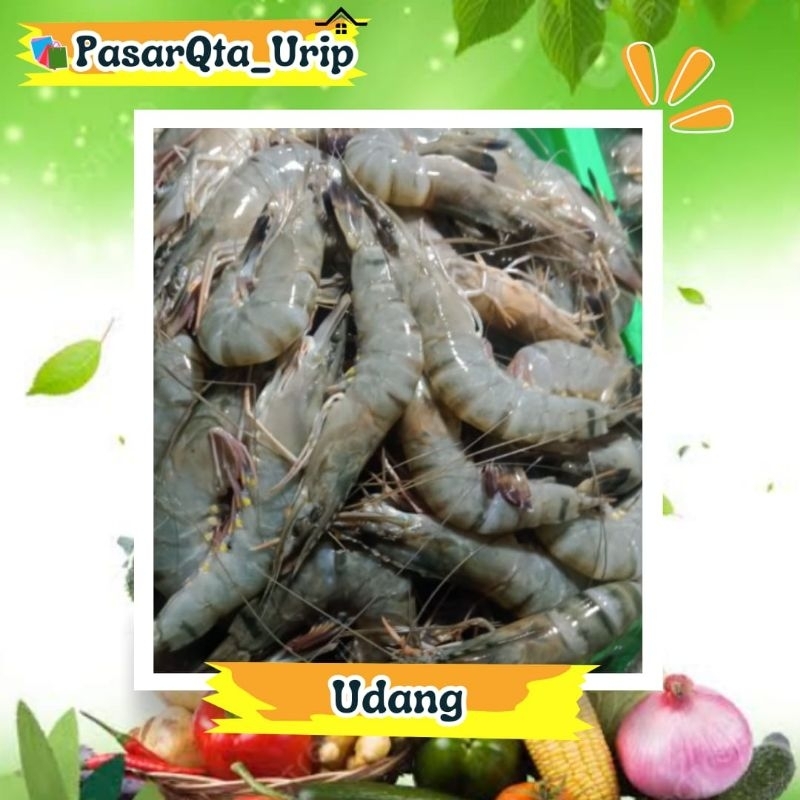 

Udang Empang per 500gr /pasar online makassar