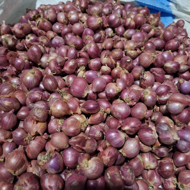 

Bawang merah 1kg