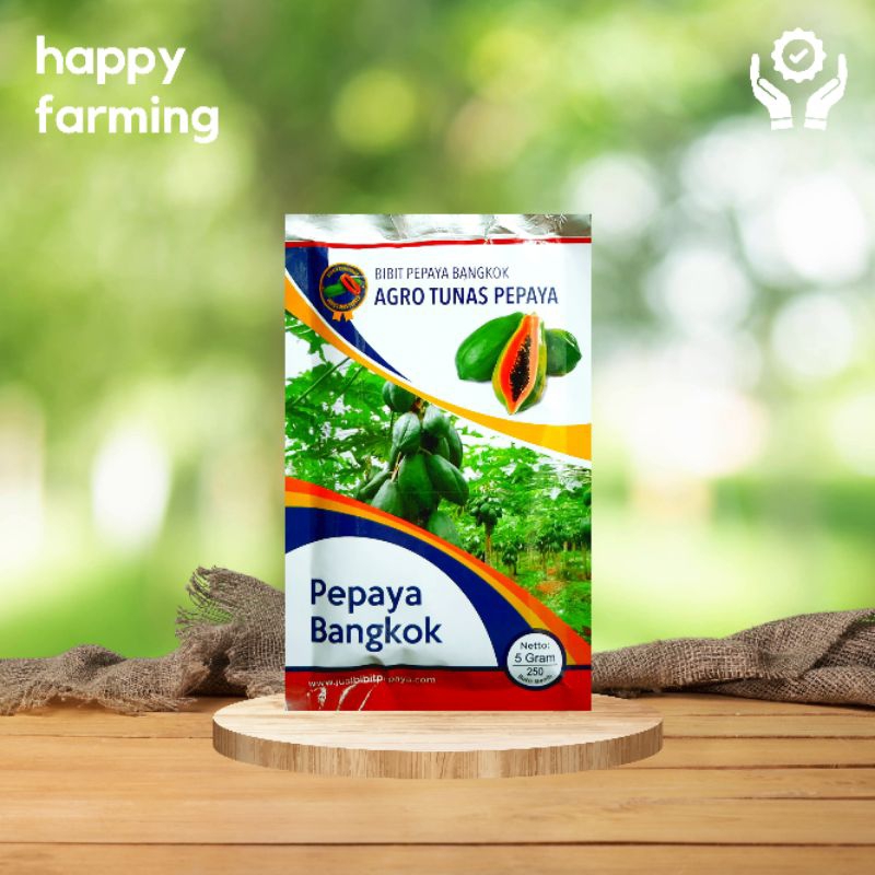 BIBIT BENIH PEPAYA BANGKOK SUPER AGRO TUNAS PEPAYA