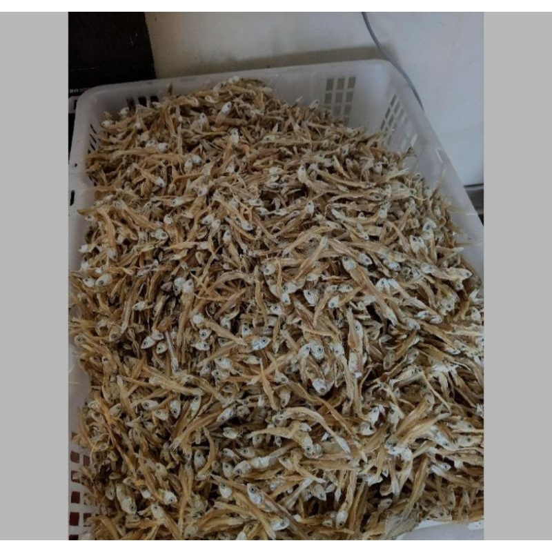 

ikan teri tawar kering