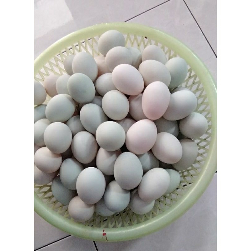 

Telur Asin / Telur Bebek Masir siap saji