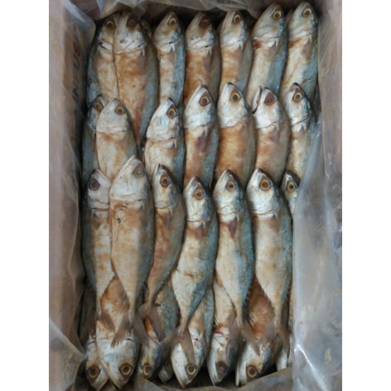 

Ikan Asin Peda merah Super 500gr