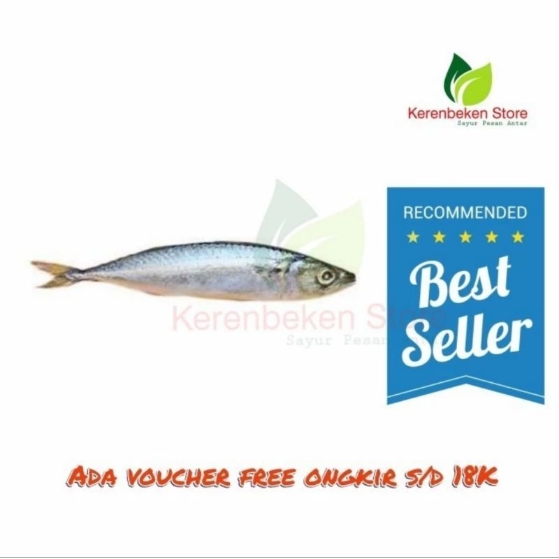 

ikan salem segar 1kg