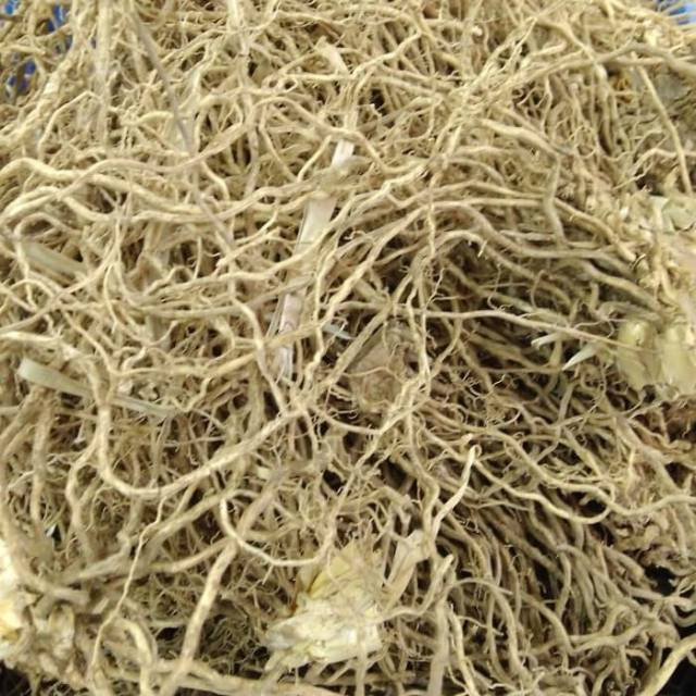 

MURAH JAMU AKAR WANGI/NARWASTU -1KG