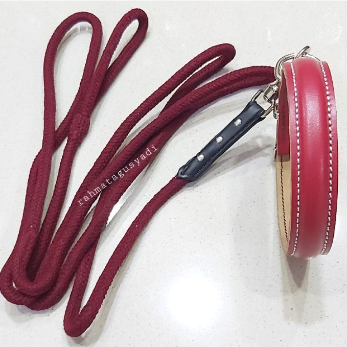 KALUNG DAN TALI ANJING BERBURU HARIAN ASLI KULIT