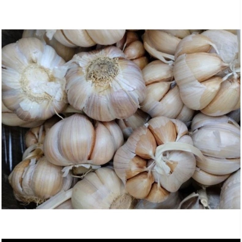 

1/2 kg bawang putih