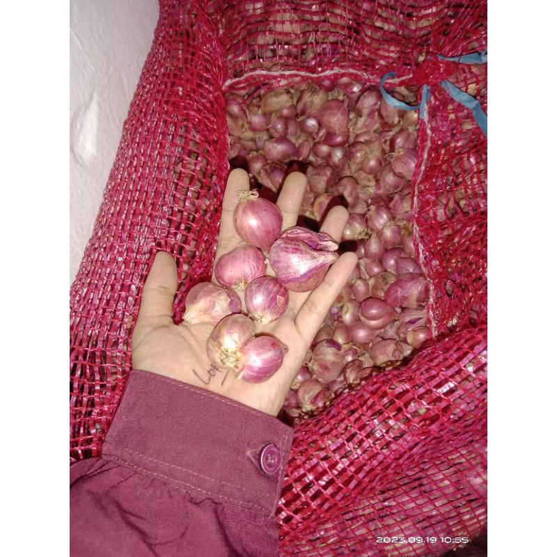 

bawang merah Super Probolinggo kering 250gr