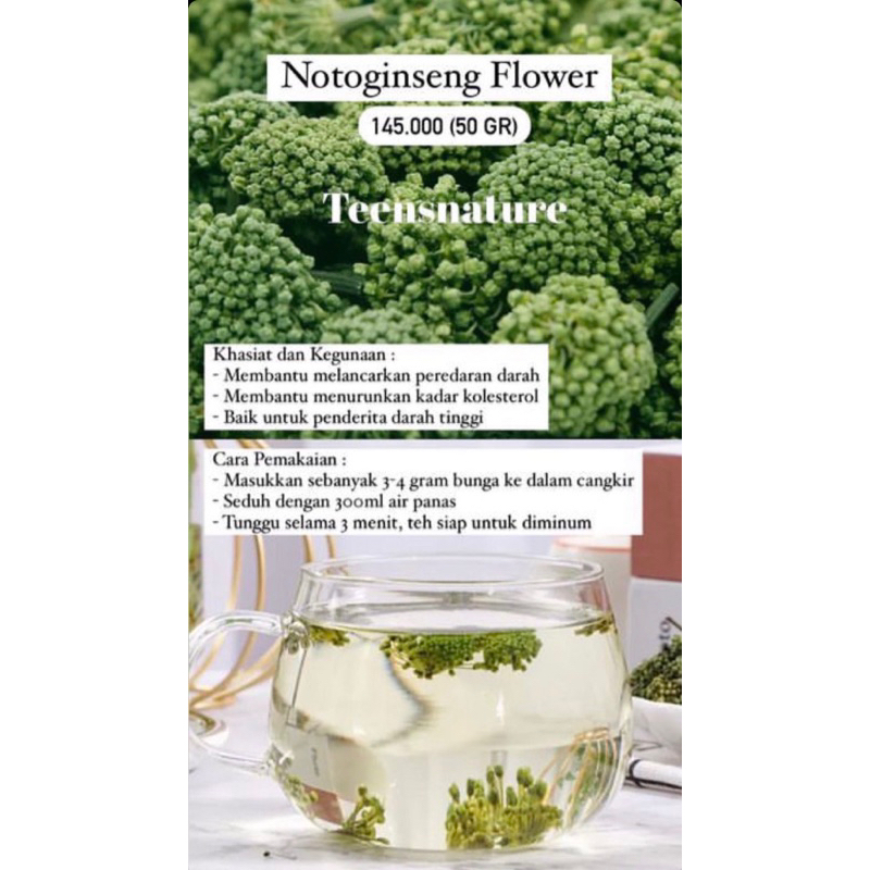 Notoginseng Flower (PO Penang)