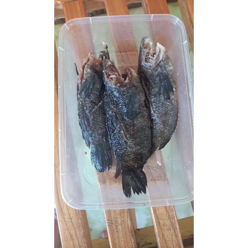 iwak wadi / ikan asin 250 gram