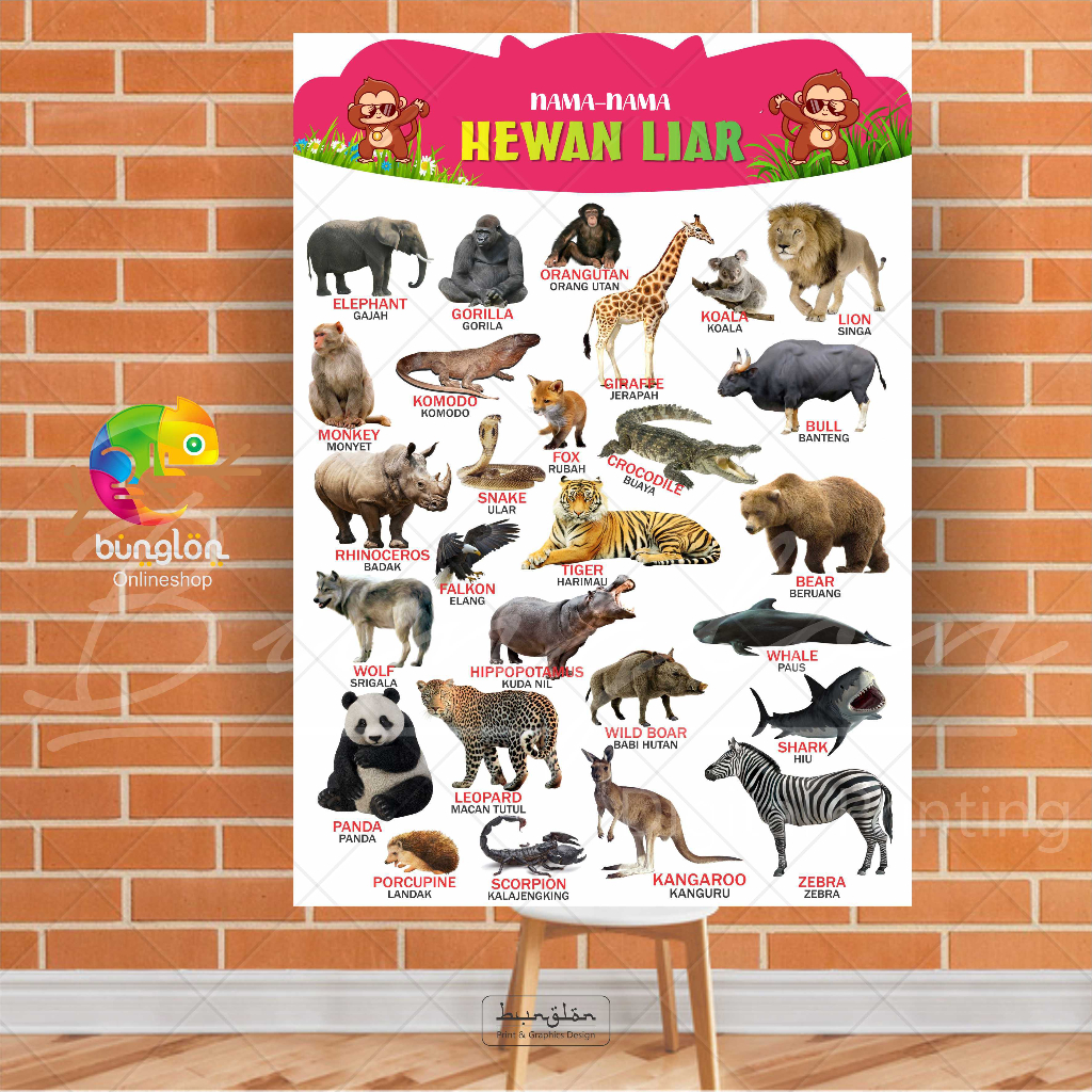 Poster Edukasi Nama-nama Hewan Liar, Poster Peraga Pendidikan