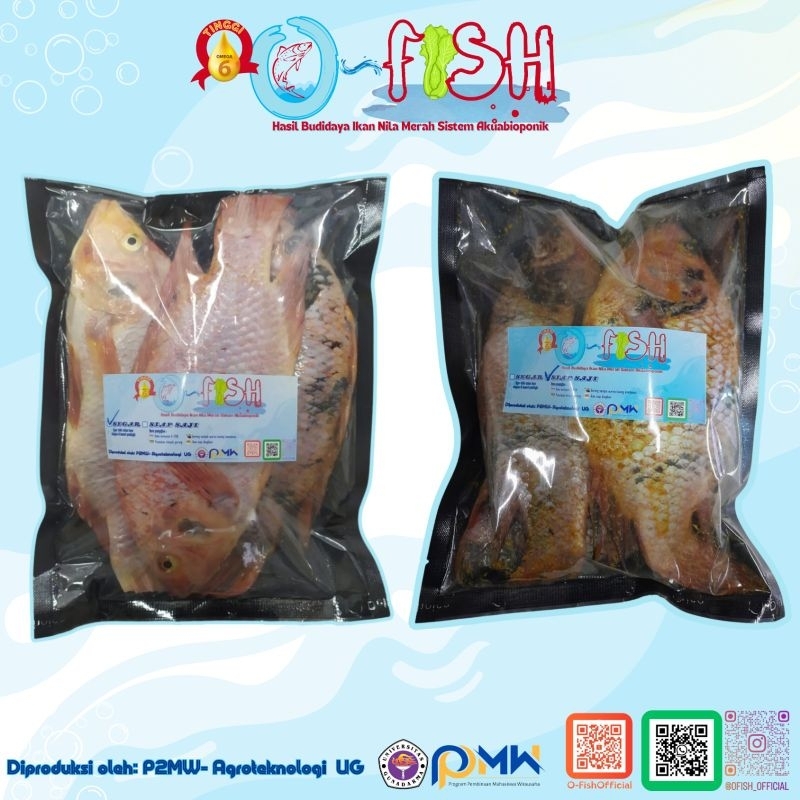 

Ikan Nila Merah | Tinggi Omega 6 | O-FISH UG
