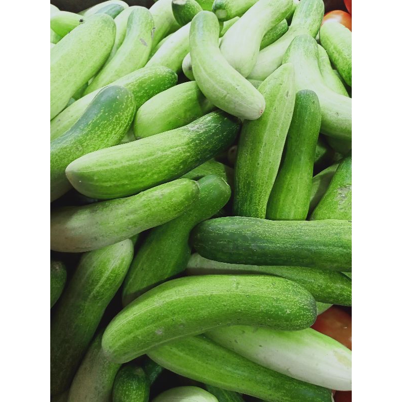 

Timun 1kg pandana Fresh