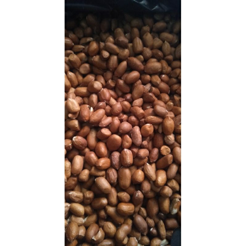

kacang tanah mentah