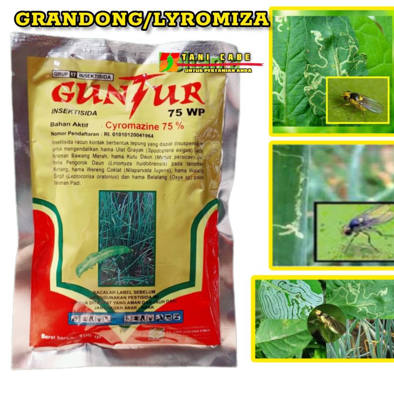 INSEKTISIDA GUNTUR CYROMAZIN 25 GRM