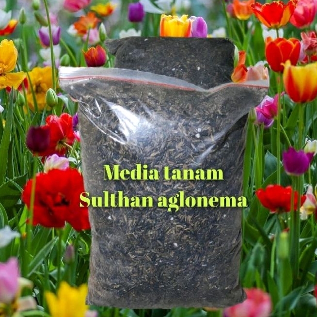 MEDIA TANAM (FERMENTASI)