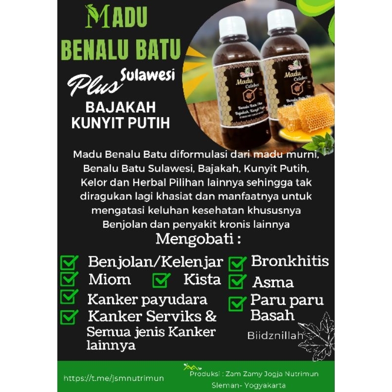 

Madu Kanker Benalu bajakah