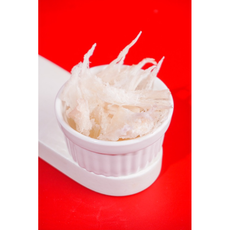 

SARANG BURUNG WALET PATAHAN KECIL