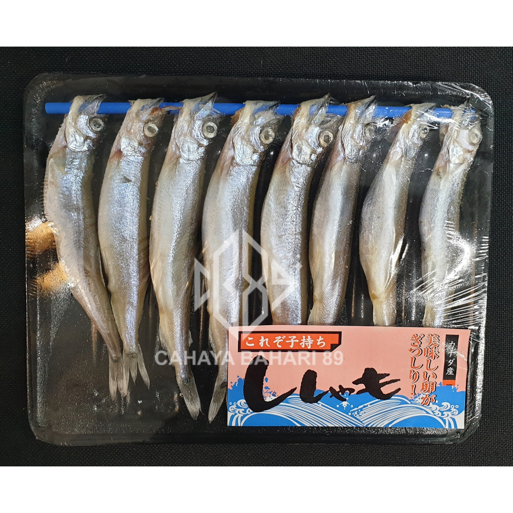 

Ikan Shisamo Capelin / Ikan Telor Jepang Premium