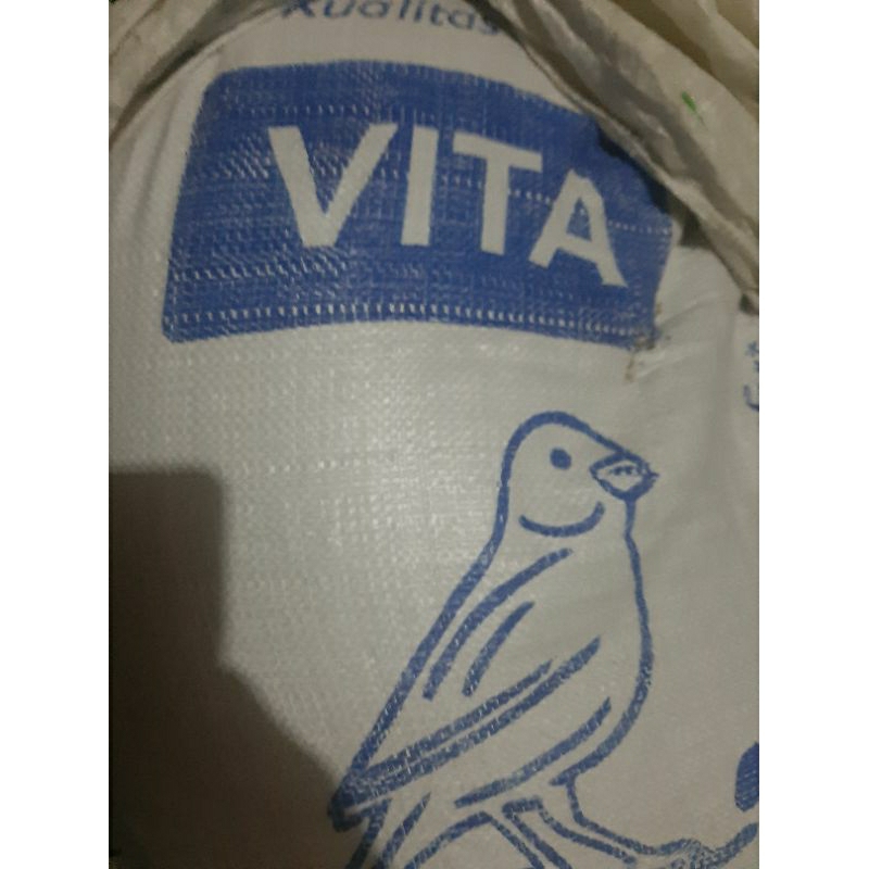 kenari seed merk vita