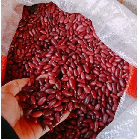 

Kacang Merah Kalosi Campe Kering Hemat 250/500gr