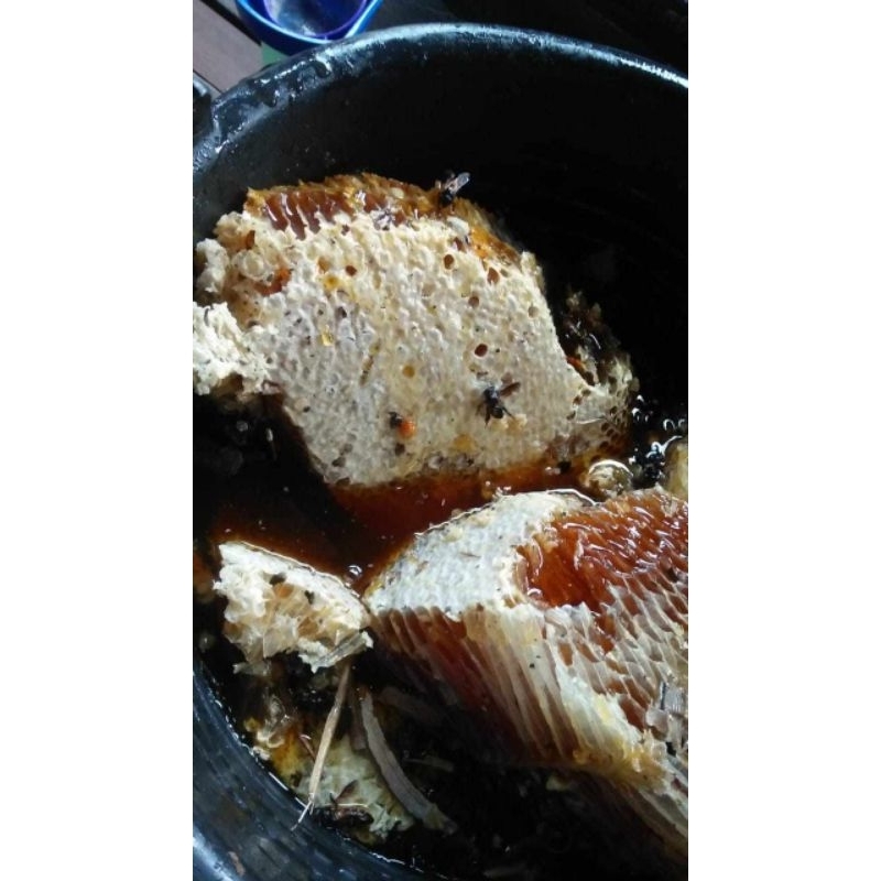 

honey madu hutan asli