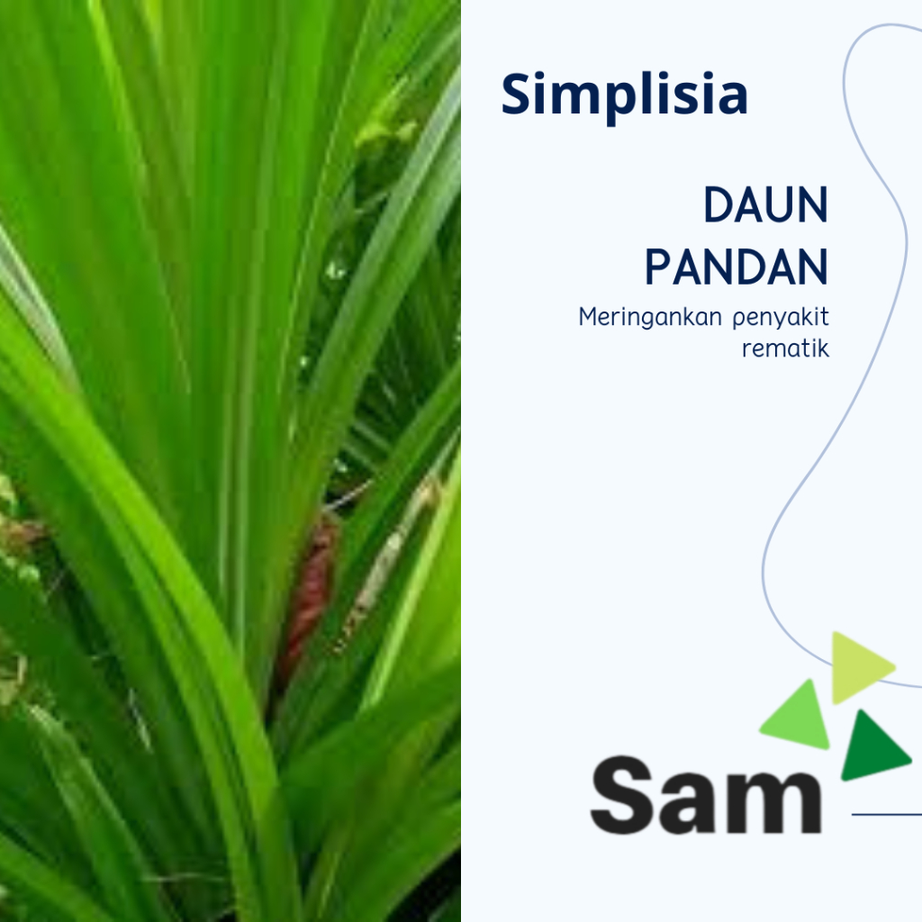 Teh daun pandan kering 40 gram - Simplisia daun pandan untuk meringankan penyakit rematik