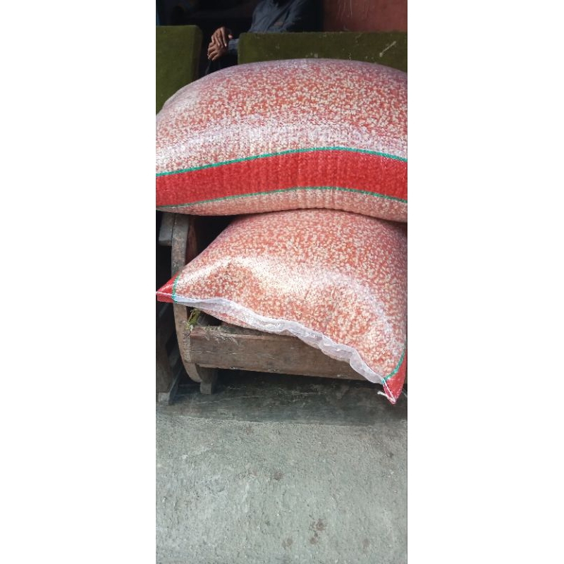 Jagung Kristal Murah 25kg/Pakan Merpati/Dara