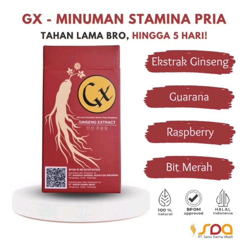GX - ginseng minuman stamina