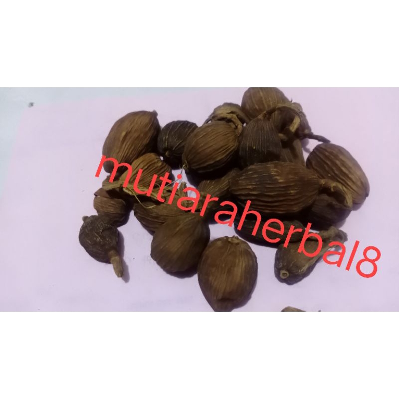 

250gram cao Guo black cardamom kapulaga hitam tsaoko amomum fruit
