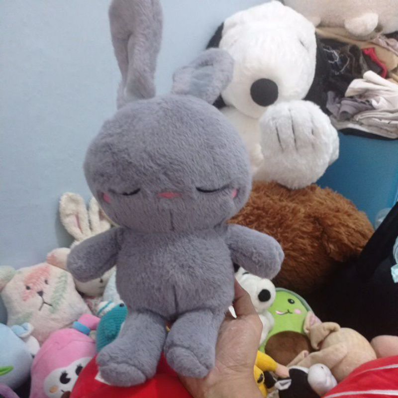 Boneka PL