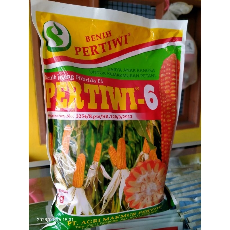 Benih Jagung Pertiwi 6 Super