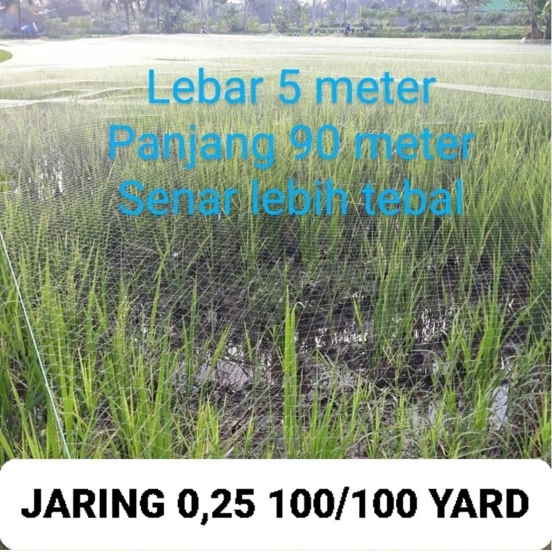 Jaring Padi Sawah Senar 0,25 100/100 Yard TATE / Jaring Burung Pipit / Jaring Sawah / Jaring Ikan