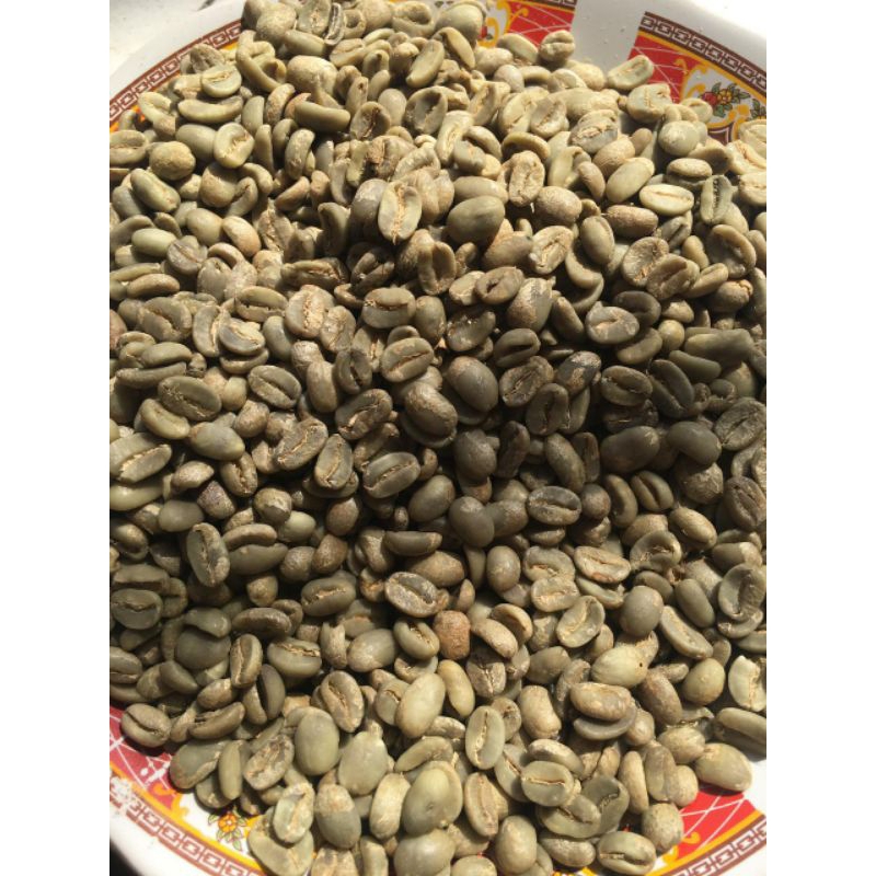 

Green Bean Arabika Flores Bajawa