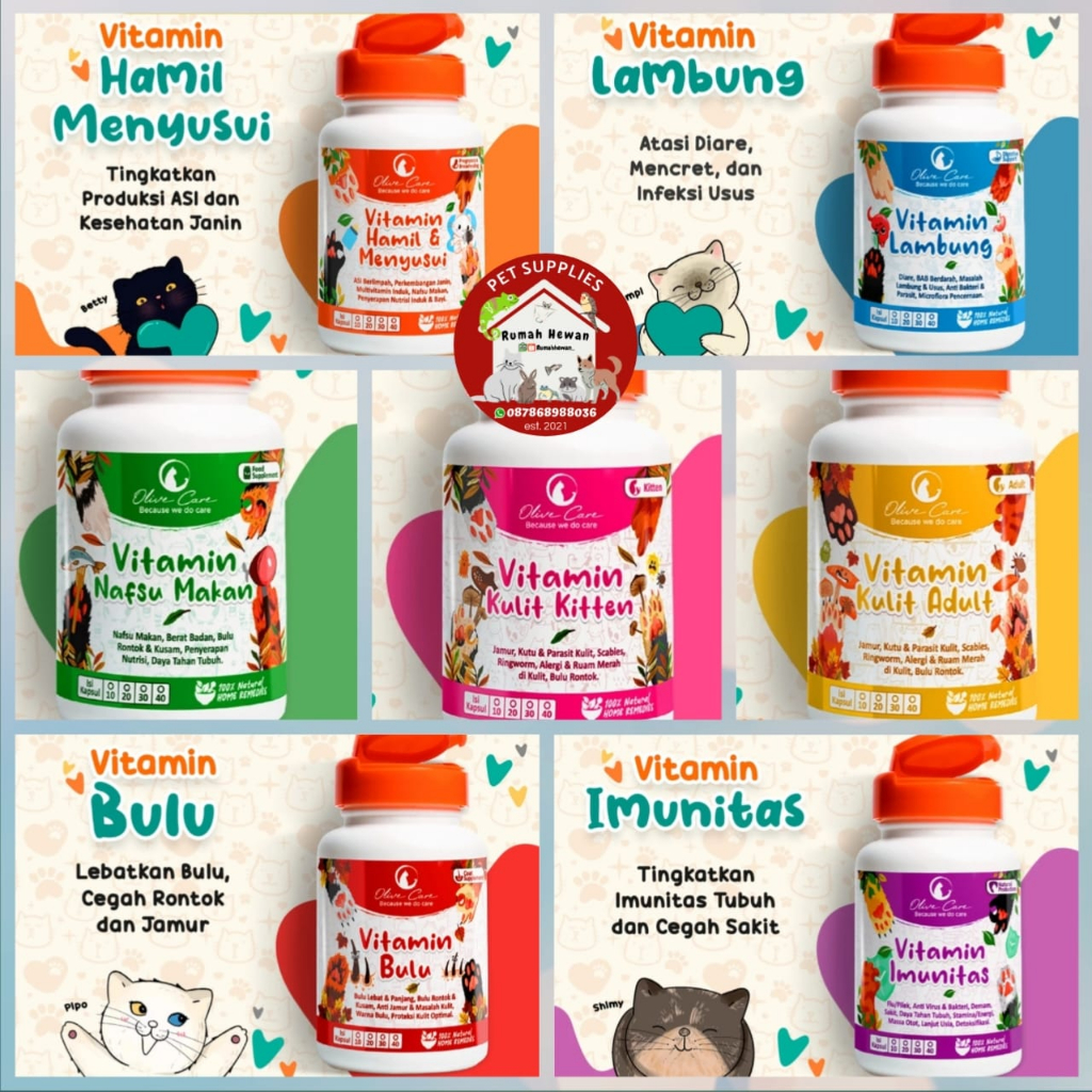 1 BOTOL Vitamin OLIVE CARE All Varian 10 Kapsul Obat Penggemuk Kucing Anak Kitten Cat Penambah Nafsu