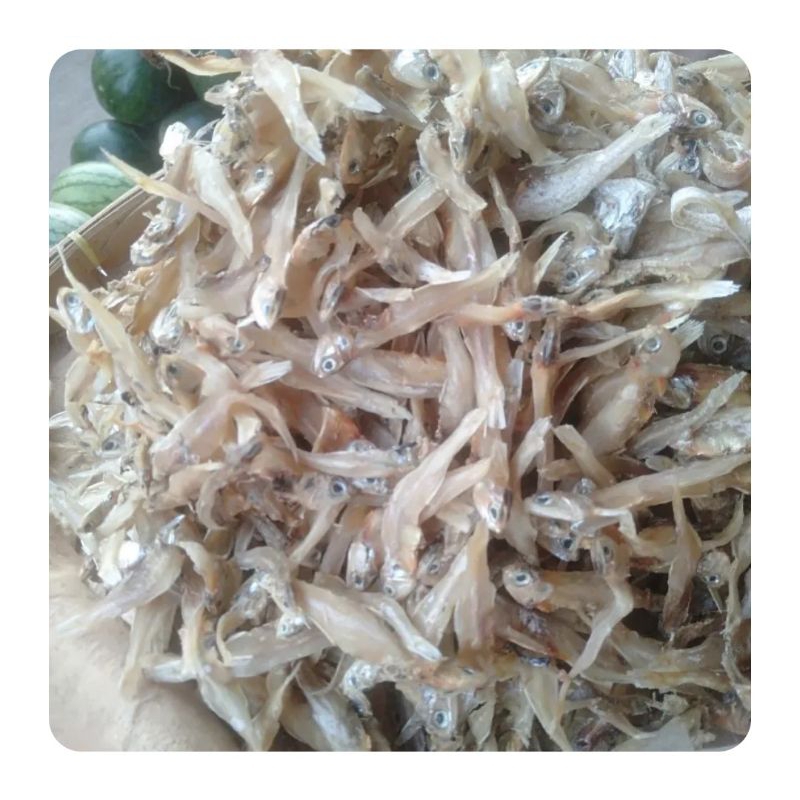 

ikan teri tawar khas medan