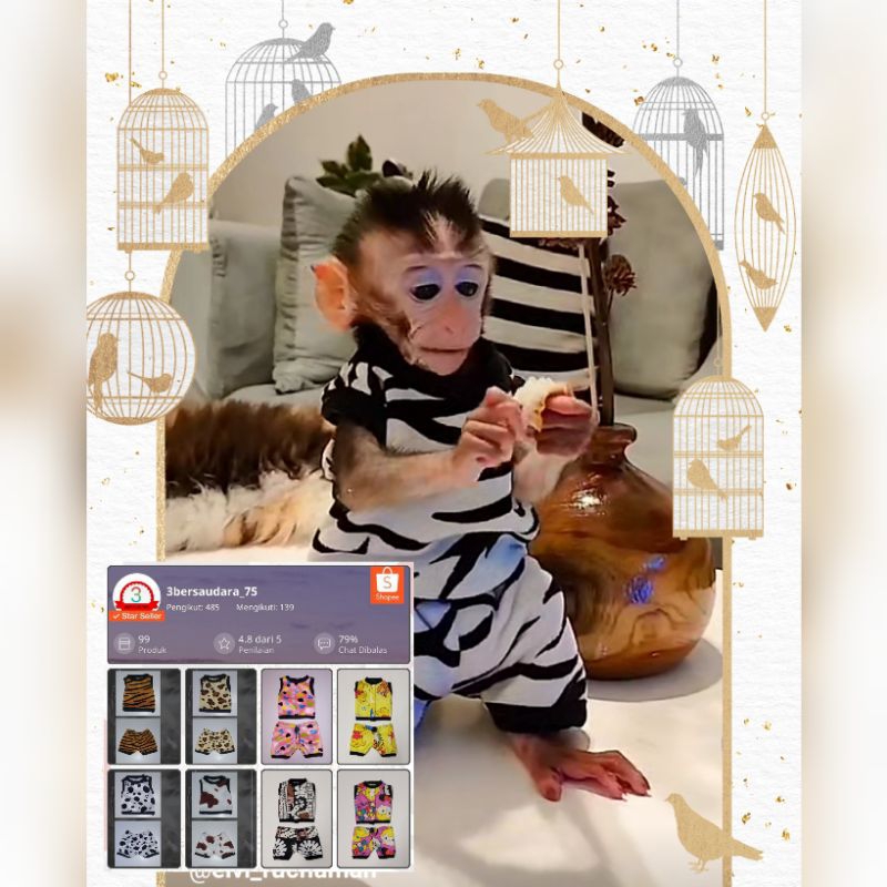 Setelan baju untuk Baby monyet (monpai)