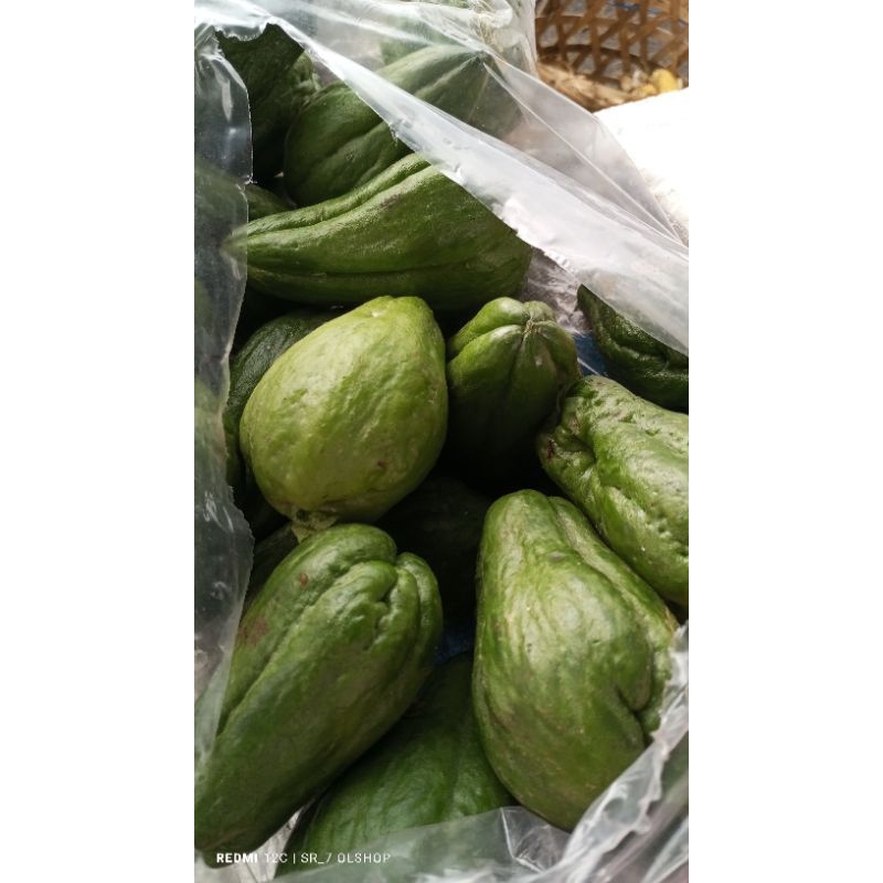

Sayur Labu Siam/ Anak Jipang/ Sedang/ Buah Jipang 500gr