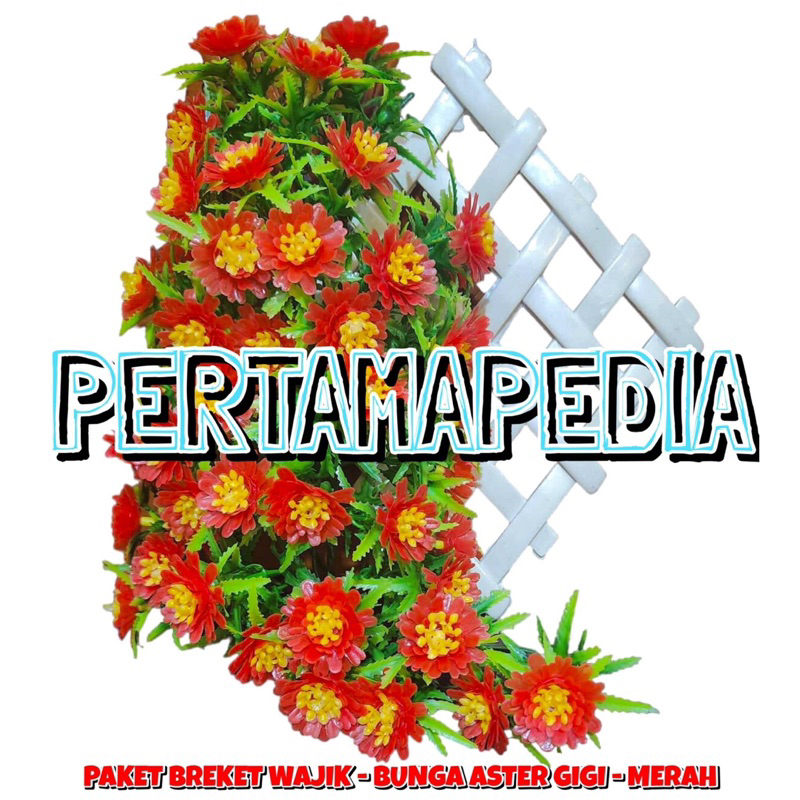 C5 Paket Bunga Aster Gigi + Wajik Breket/ Bunga Plastik/ Bunga Hiasan/ Bunga Dinding/ Bunga Artifici