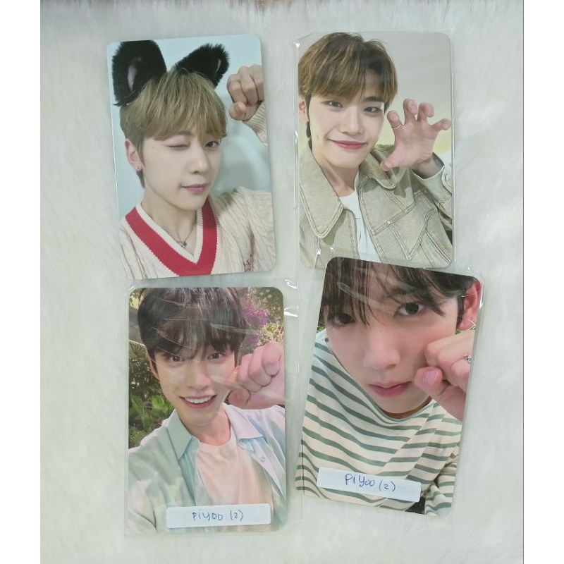 zb1 zerobaseone photocard yujin jiwoong ld everline taerae ld sw Matthew makestar