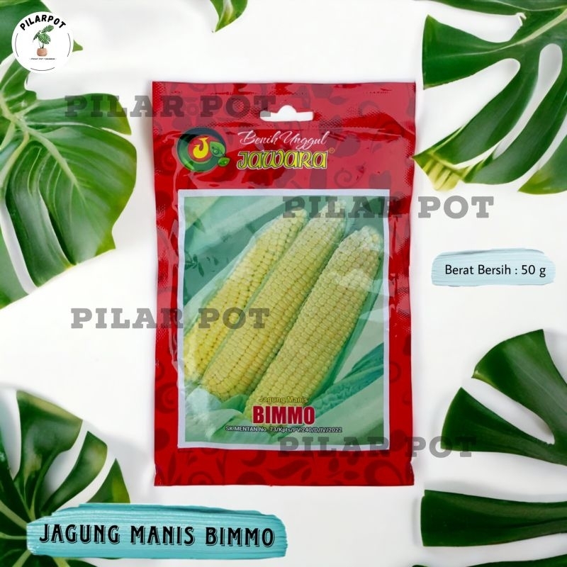 Benih Bibit Jagung Manis Bimmo Benih Unggul Jawara - JAGUNG MANIS BIMMO