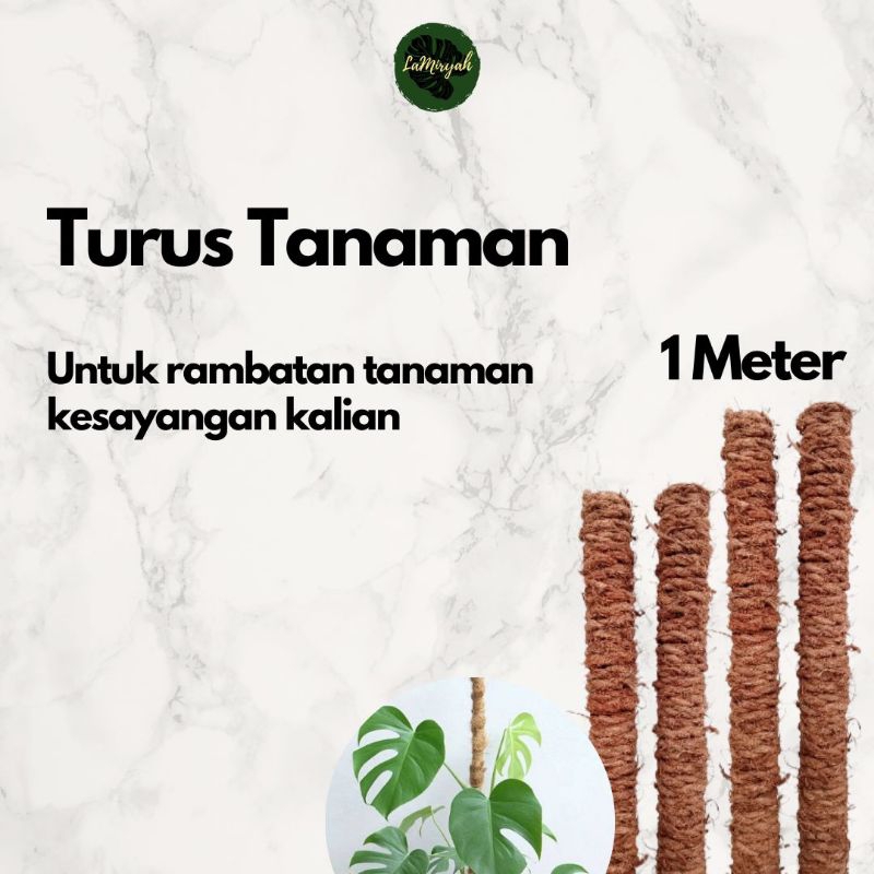 Turus Penyangga Tanaman 1Meter / Rambatan Tanaman / Turus Sabut Kelapa