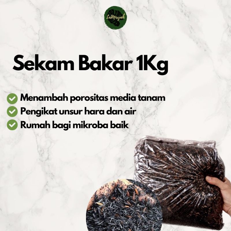 Sekam Bakar | Arang Sekam 1Kg