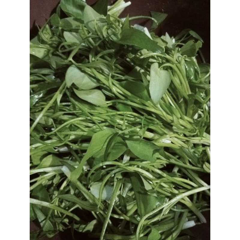 

daun eceng sawah segar 500grm