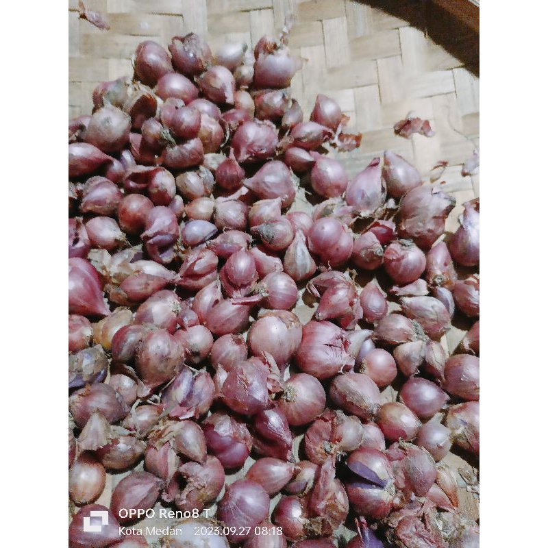 

Bawang merah murah lokal 1 kg