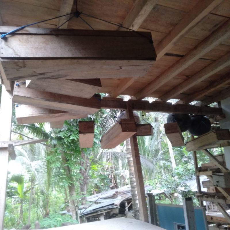 

Trigona Lombok Utara