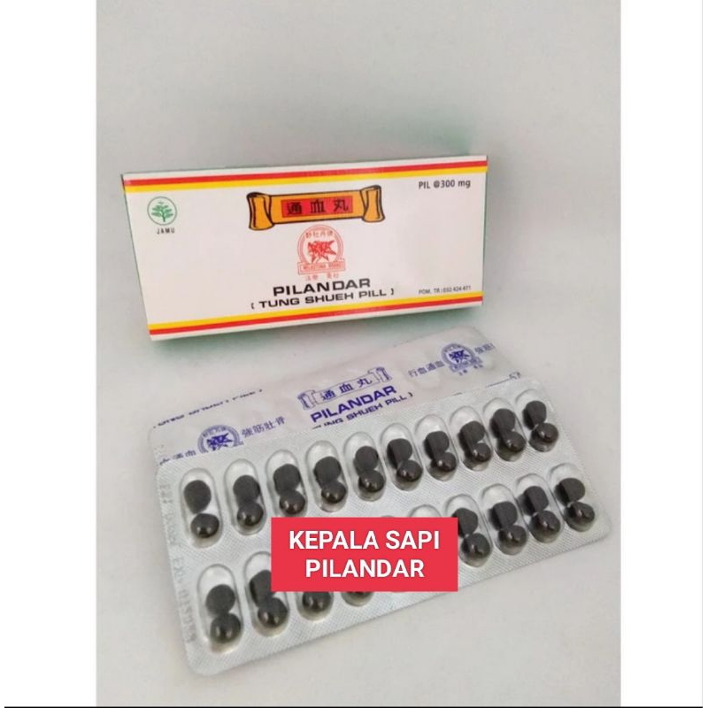 OBAT JAMU PILL BURUNG MERPATI KEPALA SAPI PILANDAR COKLAT TUNG SHUEH CIDERA